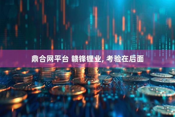 鼎合网平台 赣锋锂业, 考验在后面