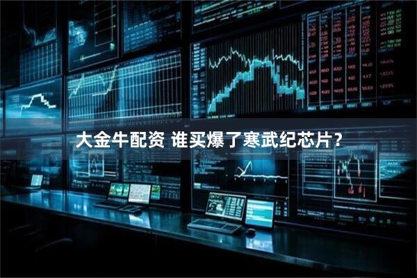 大金牛配资 谁买爆了寒武纪芯片？
